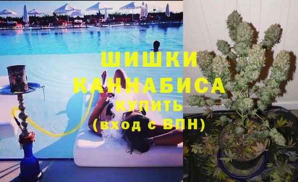 гидра Верея