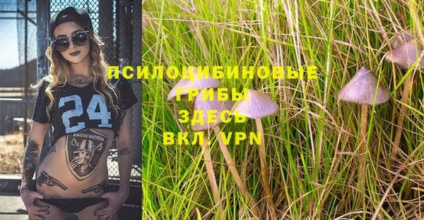 MDMA Premium VHQ Верхний Тагил