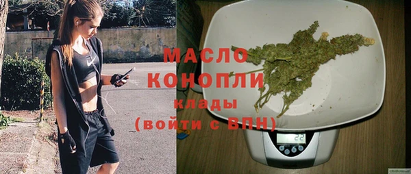 гидра Верея