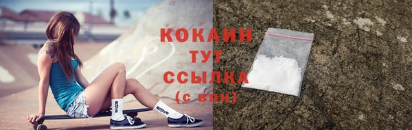 гидра Верея